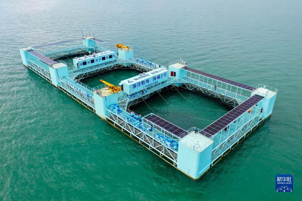 大宝lgpt游戏下载